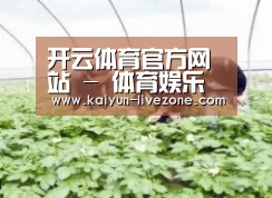 种植基地三
