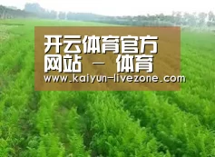 种植基地四