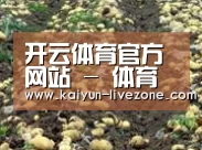 种植基地八(图1)