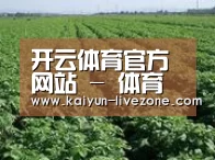 种植基地五