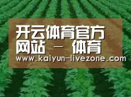 种植基地六(图1)