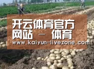 种植基地八