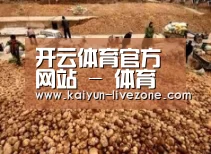 种植基地二