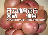 产品展示标题1