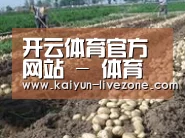 种植基地七(图1)