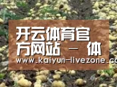 种植基地七