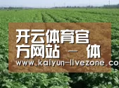 种植基地五(图1)