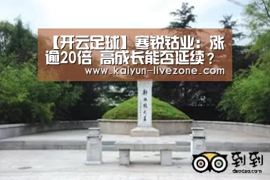 开云体育