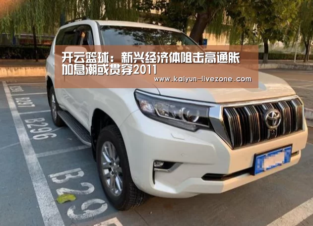 开云篮球:新兴经济体阻击高通胀 加息潮或贯穿2011(图3) 开云篮球