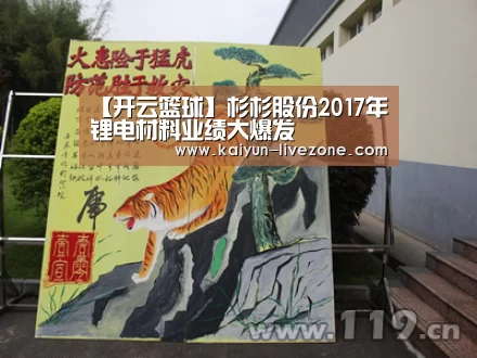 【开云篮球】杉杉股份2017年锂电材料业绩大爆发(图1) 开云体育