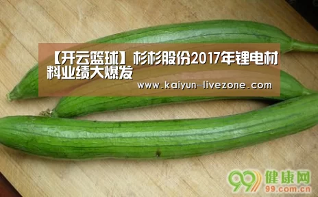 【开云篮球】杉杉股份2017年锂电材料业绩大爆发(图3) 开云篮球