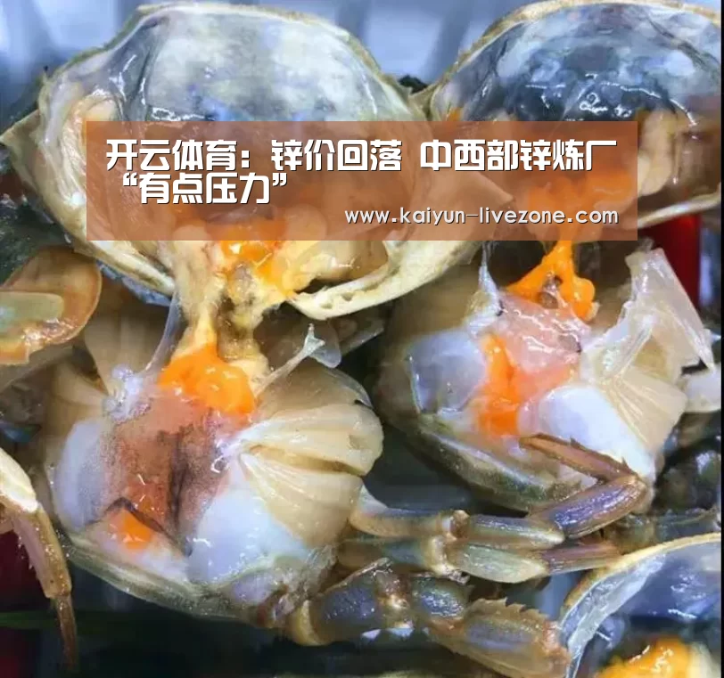 开云体育:锌价回落 中西部锌炼厂“有点压力”(图2) 开云赛事